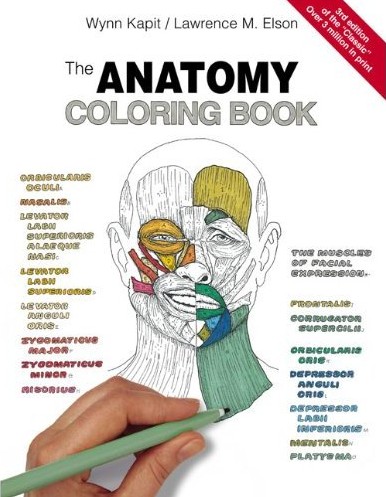 Best human anatomy coloring books